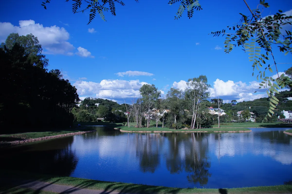 Lago do Parque Tingui em Curitiba refletindo o céu azul e as árvores da margem